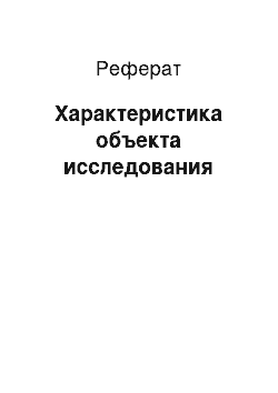 Реферат: Характеристика объекта исследования