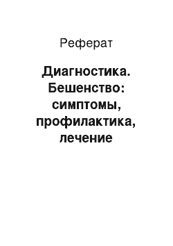 Реферат: Диагностика. Бешенство: симптомы, профилактика, лечение