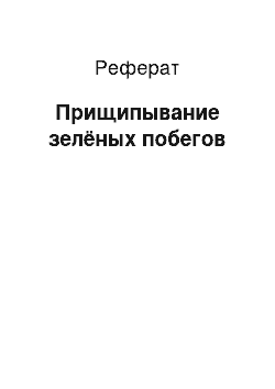 Реферат: Прищипывание зелёных побегов