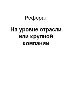 Реферат: На уровне отрасли или крупной компании