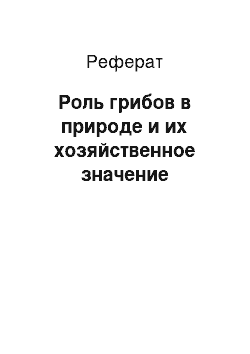 Реферат: Роль грибов в природе и их хозяйственное значение