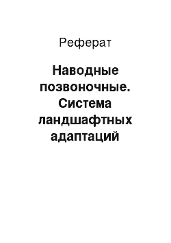 Реферат: Наводные позвоночные. Система ландшафтных адаптаций материковых позвоночных: водные животные