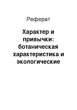 Реферат: Характер и привычки: ботаническая характеристика и экологические требования