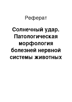 Реферат: Солнечный удар. Патологическая морфология болезней нервной системы животных