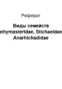 Реферат: Виды семейств Bathymasteridae, Stichaeidae и Anarhichadidae