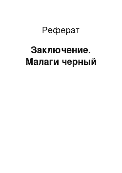 Реферат: Заключение. Малаги черный