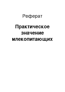 Реферат: Практическое значение млекопитающих