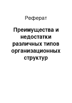 Реферат: Преимущества и недостатки различных типов организационных структур