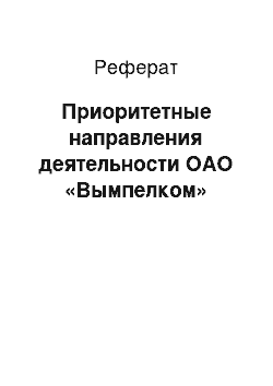 Реферат: Приоритетные направления деятельности ОАО «Вымпелком»