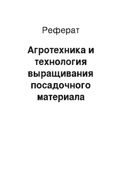 Реферат: Агротехника и технология выращивания посадочного материала