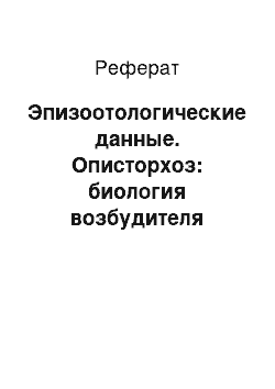 Реферат: Эпизоотологические данные. Описторхоз: биология возбудителя