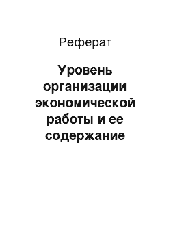 Реферат: Уровень организации экономической работы и ее содержание