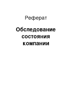 Реферат: Обследование состояния компании