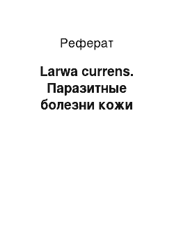 Реферат: Larwa currens. Паразитные болезни кожи