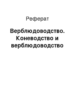 Реферат: Верблюдоводство. Коневодство и верблюдоводство