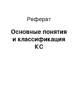 Реферат: Основные понятия и классификация КС