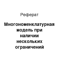 Реферат: Многономенклатурная модель при наличии нескольких ограничений