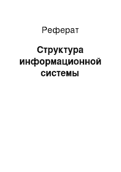 Реферат: Структура информационной системы