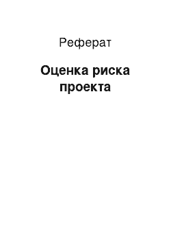 Реферат: Оценка риска проекта