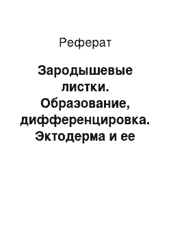 Реферат: Зародышевые листки. Образование, дифференцировка. Эктодерма и ее производные