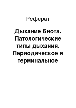 Реферат: Дыхание Биота. Патологические типы дыхания. Периодическое и терминальное дыхание