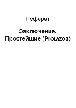 Реферат: Заключение. Простейшие (Protazoa)