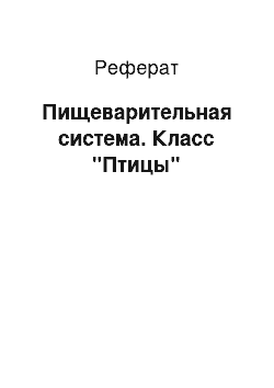 Реферат: Пищеварительная система. Класс "Птицы"