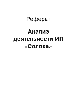 Реферат: Анализ деятельности ИП «Солоха»