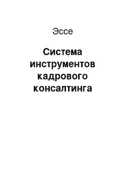 Эссе: Система инструментов кадрового консалтинга