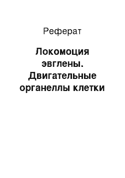 Реферат: Локомоция эвглены. Двигательные органеллы клетки