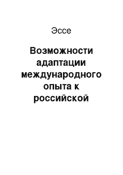 Эссе: Возможности адаптации международного опыта к российской практике государственной поддержки инновационного предпринимательства