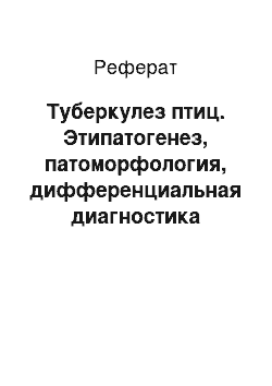 Реферат: Туберкулез птиц. Этипатогенез, патоморфология, дифференциальная диагностика