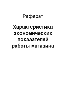 Реферат: Характеристика экономических показателей работы магазина