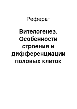 Реферат: Вителогенез. Особенности строения и дифференциации половых клеток