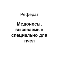 Реферат: Медоносы, высеваемые специально для пчел