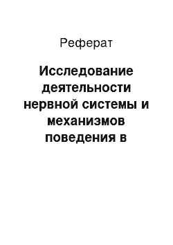 Реферат: Исследование деятельности нервной системы и механизмов поведения в первой половине XIX века