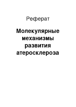 Реферат: Молекулярные механизмы развития атеросклероза