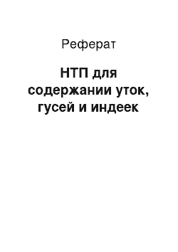 Реферат: НТП для содержании уток, гусей и индеек