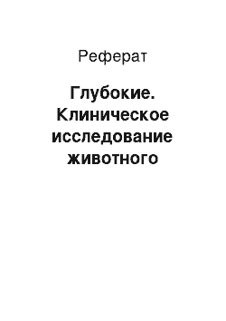 Реферат: Глубокие. Клиническое исследование животного