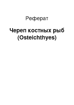 Реферат: Череп костных рыб (Osteichthyes)