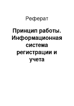 Реферат: Принцип работы. Информационная система регистрации и учета документооборота страховой компании