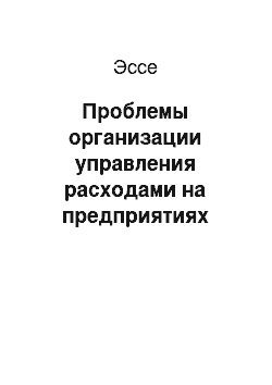 Эссе: Проблемы организации управления расходами на предприятиях реального сектора экономики и пути их решения