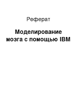 Реферат: Моделирование мозга с помощью IBM