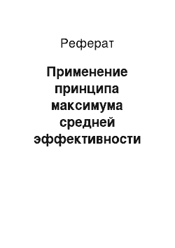 Реферат: Применение принципа максимума средней эффективности