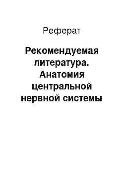 Реферат: Рекомендуемая литература. Анатомия центральной нервной системы