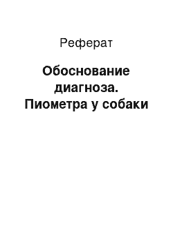 Реферат: Обоснование диагноза. Пиометра у собаки