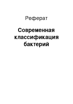 Реферат: Современная классификация бактерий