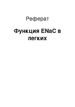 Реферат: Функция ENaC в легких