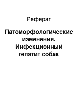 Реферат: Патоморфологические изменения. Инфекционный гепатит собак