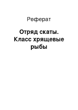 Реферат: Отряд скаты. Класс хрящевые рыбы